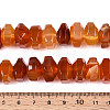 Natural Agate Beads Strands G-N356-01A-10-5