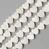 Natural Freshwater Shell Beads Strands SHEL-N026-71-1