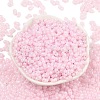 Baking Paint Glass Seed Beads SEED-L011-09A-09-2