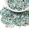Natural Amazonite Chip Beads G-O103-08-3