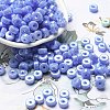 Opaque Colours Luster Glass Seed Beads SEED-E001-P3x6mm-A05-1