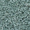 MIYUKI Delica Beads SEED-J020-DB1484-4