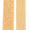 Transparent Glass Beads Strands EGLA-A044-T1mm-MB03-2