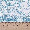 MIYUKI Round Rocailles Beads X-SEED-G009-RR0573-4