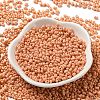 Baking Paint Glass Seed Beads SEED-K009-01B-13-1