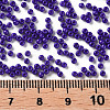 12/0 FGB Grade A Round Glass Seed Beads SEED-N001-A-1010-3