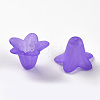Transparent Acrylic Beads PLF018-15-5
