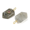 Natural Labradorite Pendants KK-CBAF9BC-20G-01-2