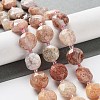 Natural Cherry Blossom Agate Beads Strands G-NH0004-024-2