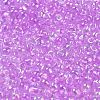 6/0 Inside Colours Fringe Glass Seed Beads SEED-A034-03B-3