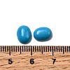 Synthetic Turquoise Cabochons G-G759-Z21-3