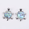 Abalone Shell/Paua Shell Pendants SSHEL-L008-14A-2