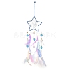 Woven Net/Web with Feather Hanging Suncatchers HJEW-F024-03C-1