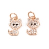 Brass Micro Pave Clear Cubic Zirconia Charms ZIRC-C020-38-2