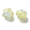 Gradient Color Transparent Hand-drawed Acrylic Beads TACR-P012-01B-13-2