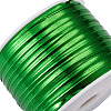  Plastic Wire Twist Ties AJEW-TA0017-18A-4