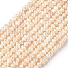 Natural Cultured Freshwater Pearl Beads Strands PEAR-C004-02C-2