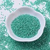 MIYUKI Delica Beads SEED-X0054-DB0238-2