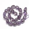 Natural Amethyst Beads Strands G-R435-07-2