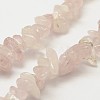 Natural Rose Quartz Beads Strands X-G-F328-01-3