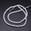 Natural Rainbow Moonstone Round Bead Strands G-M263-A-02-2