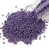 TOHO 11/0 Round Beads X-SEED-TR11-0567F-1