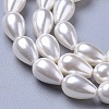 Polished Shell Pearl Beads Strands BSHE-L042-A02-2