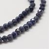 Natural Sapphire Bead Strands G-P271-3mm-13-4