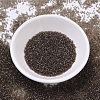 MIYUKI Delica Beads SEED-MY11-DB0123-2