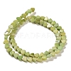 Natural Dolomite Beads Strands G-F765-H04-01-3