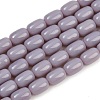 Opaque Glass Beads Strands GLAA-Z015-02C-1
