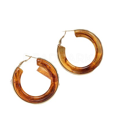 304 Stainless Steel Acrylic Hoop Earrings FS-WG57303-02-1