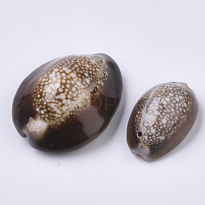 Natural Cowrie Shell Pendants X-SSHEL-N034-24-1
