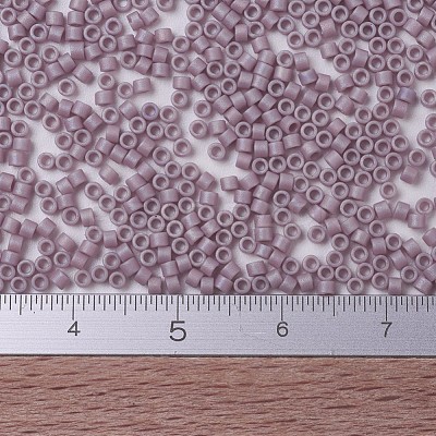 MIYUKI Delica Beads Small SEED-X0054-DBS0875-1