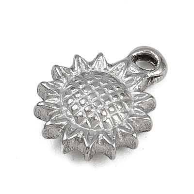 304 Stainless Steel Charms LS-STAS-G363-12P-1