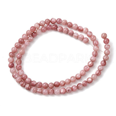 Natural Sea Shell Beads Strands SHEL-K006-74-1