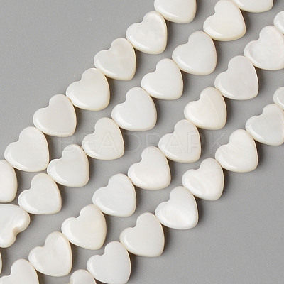Natural Freshwater Shell Beads Strands SHEL-N026-71-1