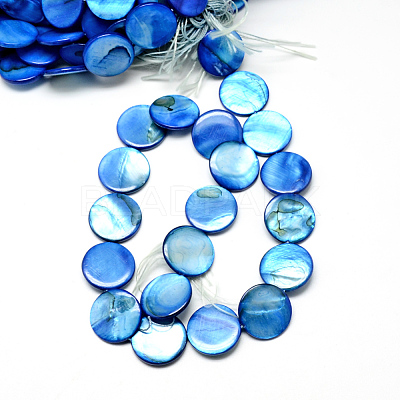 Natural Shell Beads Strands X-SHS054-017-1