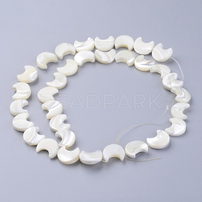 Natural White Shell Beads Strands X-SSHEL-12X11-1