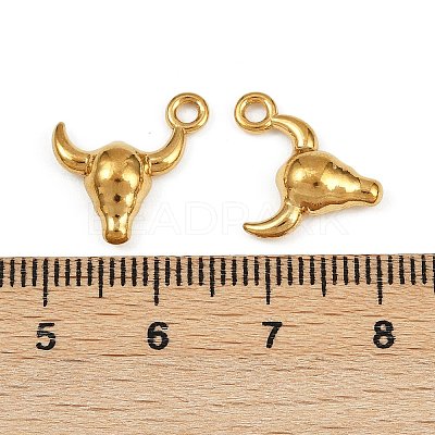 304 Stainless Steel Charms STAS-F317-11G-1