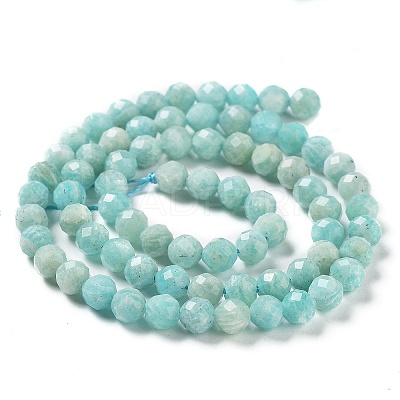 Natural Amazonite Beads Strands G-J400-E11-04-1