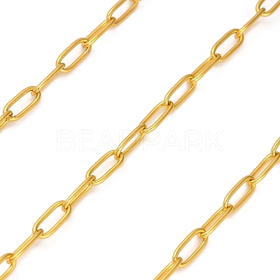 Stainless Steel Oval Paperclip Chains CHS-G040-01A-G-1