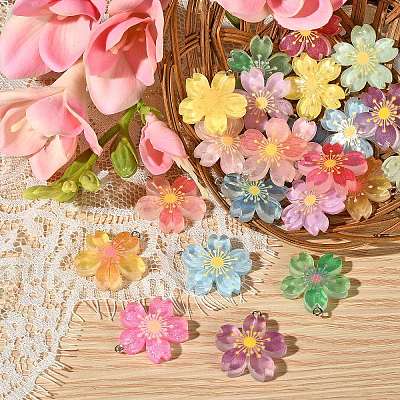 24Pcs 12 Colors Translucent Resin Pendants RESI-CJ0002-50-1
