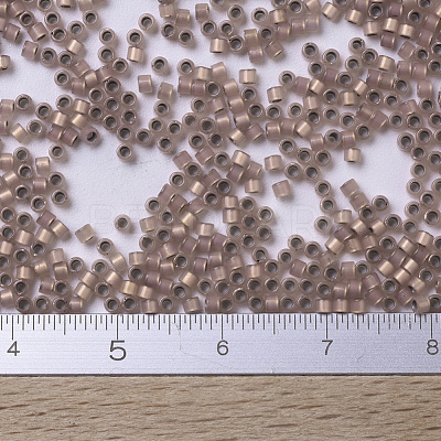 MIYUKI Delica Beads Small SEED-X0054-DBS0191-1