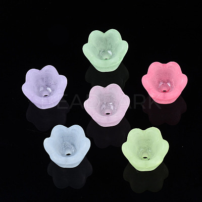 Transparent Acrylic Beads X-FACR-N005-001-1
