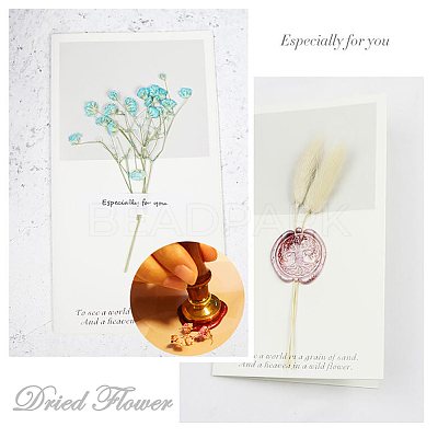 DIY Scrapbook AJEW-WH0100-168-1