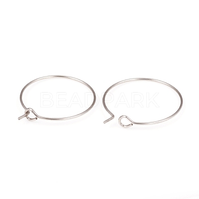 316L Surgical Stainless Steel Hoop Earring Findings STAS-G229-07P-02-1