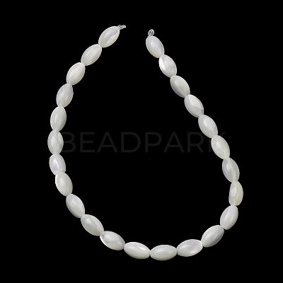 Natural Trochid Shell/Trochus Shell Beads Strands SH-CBA2978-09-1