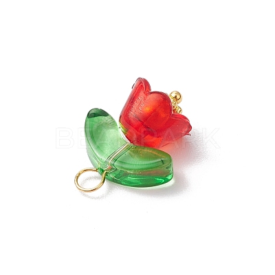 Glass Pendants PALLOY-JF03355-1