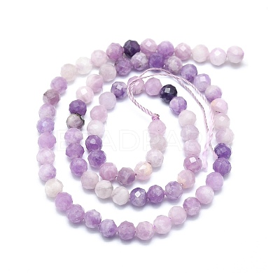 Natural Lepidolite/Purple Mica Stone Beads Strands G-P457-A04-01-1